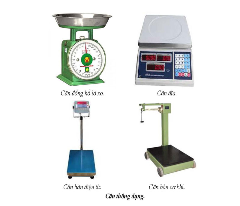 Quy trình kiểm định cân đĩa