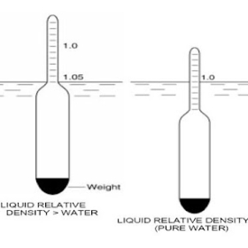 Tỷ trọng kế là gì và quy trình hiệu chuẩn tỷ trọng kế chuẩn xác nhất